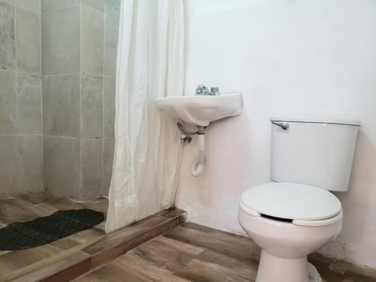 Ikali Hostel 몬테레이 외부 사진
